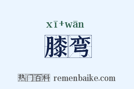 膝弯是什么意思的图片